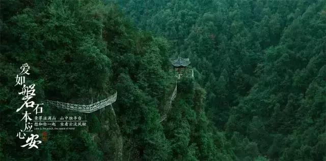 唯一的幸存者